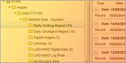 Digital Well File