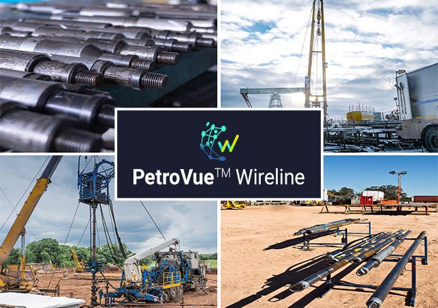 Bring Wireline Data into Focus with PetroVue™