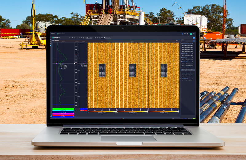 Wireline Viewer displaying high-resolution logs, run comparisons, and triple-combo wireline data.